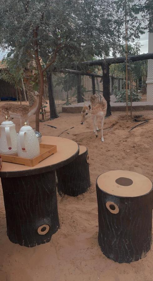منزل الضيف أبو ظبي  في Farm Lebanon المظهر الخارجي الصورة